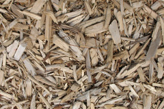 biomass boilers Reedsford